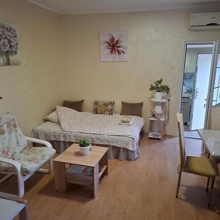 Apartment Sleep'n Drive Belgrado Buitenkant foto